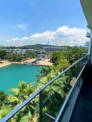 Cove Grove (D4), Apartment #503216121